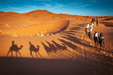 Camel Safari, Sahara Desert
