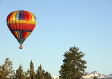 Hot Air Balloon, Willamette Valley