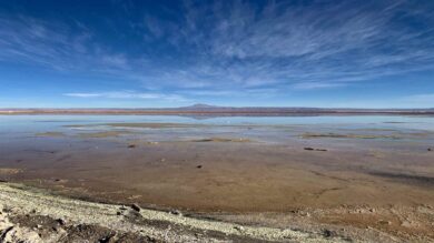 Chaxa Lagoon, Atacama