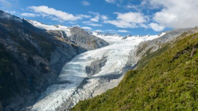 Fox & Franz Josef Glaciers, South Island