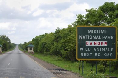 Mikumi National Park, Southern Circuit