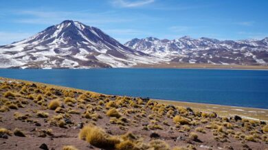 Miscanti & Miniques Lagoons, Atacama