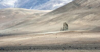 Hand of the Desert, Antofagasta